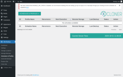 Page screenshot: Site Backup → Schedules & Profiles