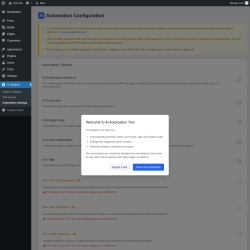 Page screenshot: AI Toolbox &rarr; Automation Settings