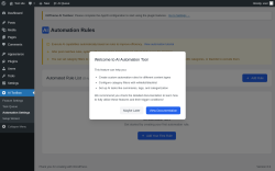 Page screenshot: AI Toolbox &rarr; Automation Settings