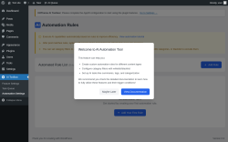 Page screenshot: AI Toolbox &rarr; Automation Settings