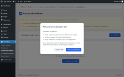Page screenshot: AI Toolbox &rarr; Automation Settings