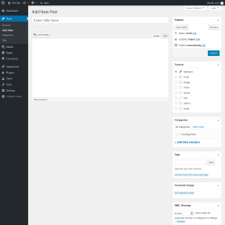 Page screenshot: Add New Post &lsaquo; Test site &mdash; WordPress
