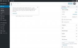 Page screenshot: Add New Post &lsaquo; Test site &mdash; WordPress
