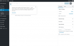 Page screenshot: Add New Page &lsaquo; Test site &mdash; WordPress