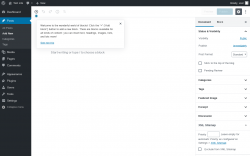 Page screenshot: Add New Post &lsaquo; Test site &mdash; WordPress