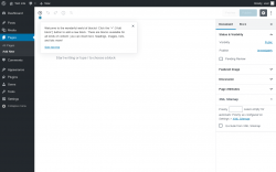Page screenshot: Add New Page &lsaquo; Test site &mdash; WordPress