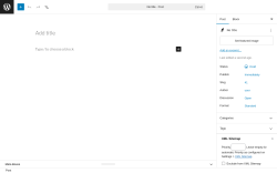 Page screenshot: Add Post ‹ Test site — WordPress