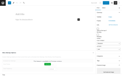 Page screenshot: Add New Post ‹ Test site — WordPress
