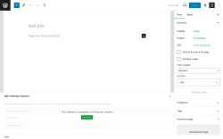 Page screenshot: Add New Post ‹ Test site — WordPress