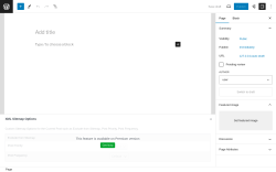 Page screenshot: Add New Page ‹ Test site — WordPress