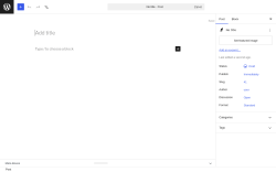 Page screenshot: Add Post &lsaquo; Test site &mdash; WordPress