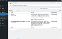 Page screenshot: Plugins &lsaquo; Test site &mdash; WordPress