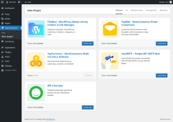 Page screenshot: YayCommerce → Other plugins