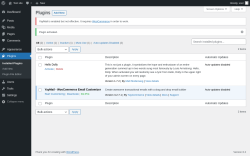 Page screenshot: Plugins &lsaquo; Test site &mdash; WordPress