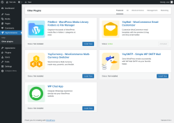 Page screenshot: YayCommerce &rarr; Other plugins