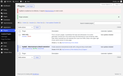 Page screenshot: Plugins &lsaquo; Test site &mdash; WordPress
