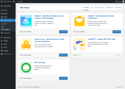 Page screenshot: YayCommerce → Other plugins