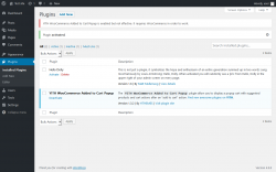 Page screenshot: Plugins &lsaquo; Test site &mdash; WordPress
