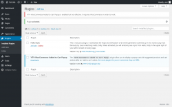 Page screenshot: Plugins &lsaquo; Test site &mdash; WordPress