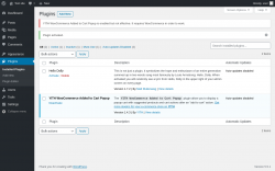Page screenshot: Plugins &lsaquo; Test site &mdash; WordPress