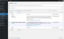 Page screenshot: Plugins &lsaquo; Test site &mdash; WordPress