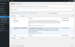 Page screenshot: Plugins &lsaquo; Test site &mdash; WordPress