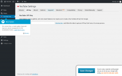 Page screenshot: YouTube Free &rarr; API Key