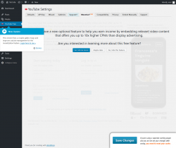 Page screenshot: YouTube Free &rarr; Monetize? new