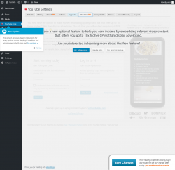 Page screenshot: YouTube Free &rarr; Monetize? new