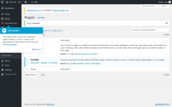 Page screenshot: Plugins &lsaquo; Test site &mdash; WordPress