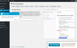 Page screenshot: YouTube Free &rarr; API Key