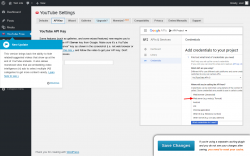 Page screenshot: YouTube Free &rarr; API Key