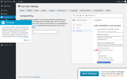 Page screenshot: YouTube Free &rarr; API Key