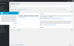 Page screenshot: Plugins &lsaquo; Test site &mdash; WordPress