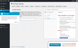 Page screenshot: YouTube Free &rarr; API Key