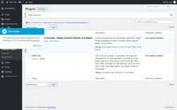 Page screenshot: Plugins &lsaquo; Test site &mdash; WordPress