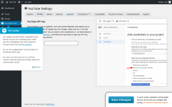 Page screenshot: YouTube Free &rarr; API Key
