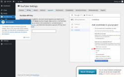 Page screenshot: YouTube Free &rarr; API Key