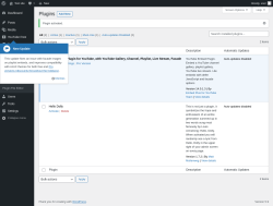 Page screenshot: Plugins &lsaquo; Test site &mdash; WordPress