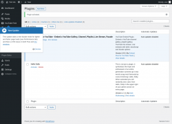 Page screenshot: Plugins &lsaquo; Test site &mdash; WordPress