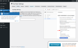 Page screenshot: YouTube Free &rarr; API Key