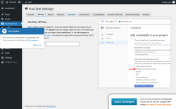 Page screenshot: YouTube Free &rarr; API Key