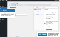 Page screenshot: YouTube Free &rarr; API Key