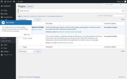 Page screenshot: Plugins &lsaquo; Test site &mdash; WordPress