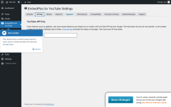 Page screenshot: EmbedPlus for YouTube &rarr; API Key