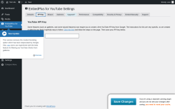 Page screenshot: EmbedPlus for YouTube &rarr; API Key