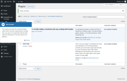 Page screenshot: Plugins &lsaquo; Test site &mdash; WordPress