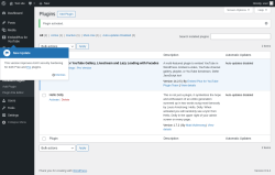 Page screenshot: Plugins &lsaquo; Test site &mdash; WordPress
