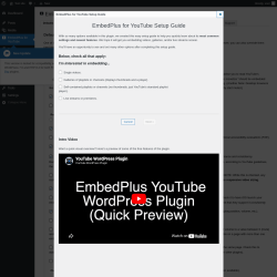 Page screenshot: EmbedPlus for YouTube