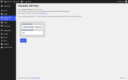 Page screenshot: Youtube API Setting